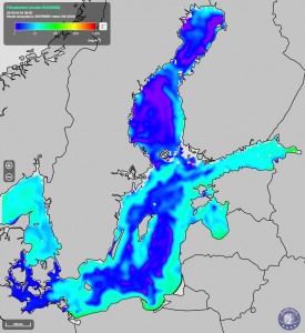 sb_fitoplankton_fig1