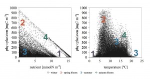 sb_fitoplankton_fig2