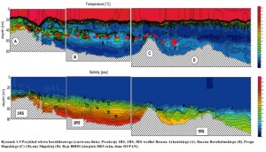 zasolenie_3_3D_CEMBS